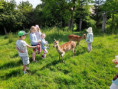 /album/fotogalerie/20250624-095247-jpg/